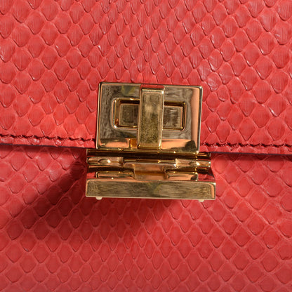Celine Python and Suede Medium Trapeze Vermillion 9 of 10