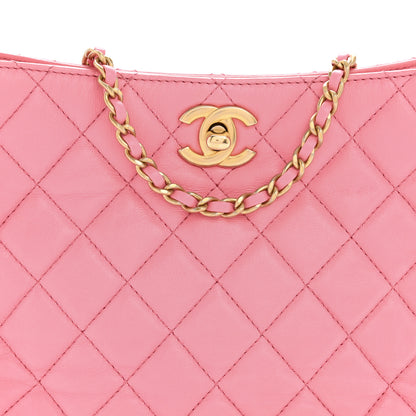 Chanel Lambskin Quilted Small Pearl Crush Hobo Pink 8 of 13