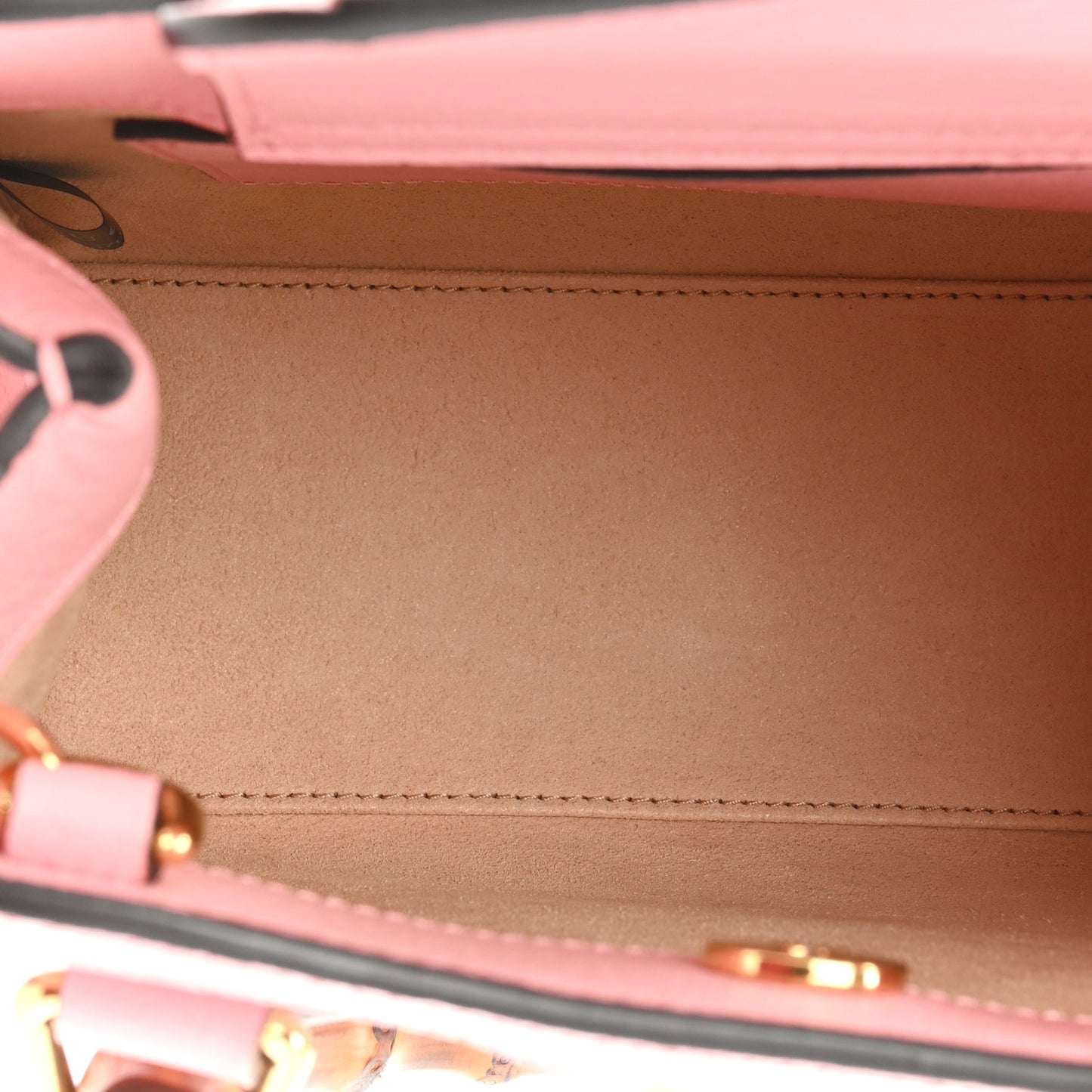 Textured Dollar Calfskin Web Mini Diana Tote Bag Wild Rose Black