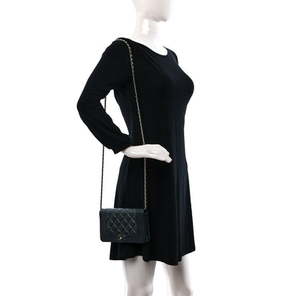 Chanel Caviar Quilted Vintage Mademoiselle Wallet On Chain WOC Dark Grey 2 of 11