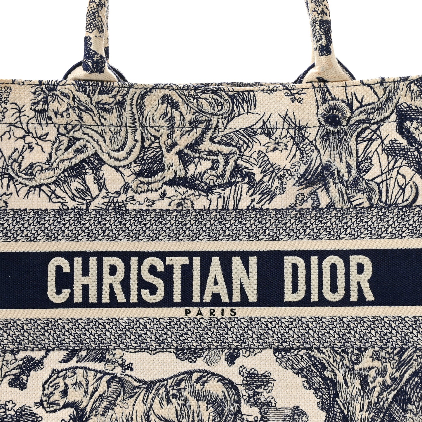 Canvas Embroidered Medium Dioriviera Toile De Jouy Book Tote Blue