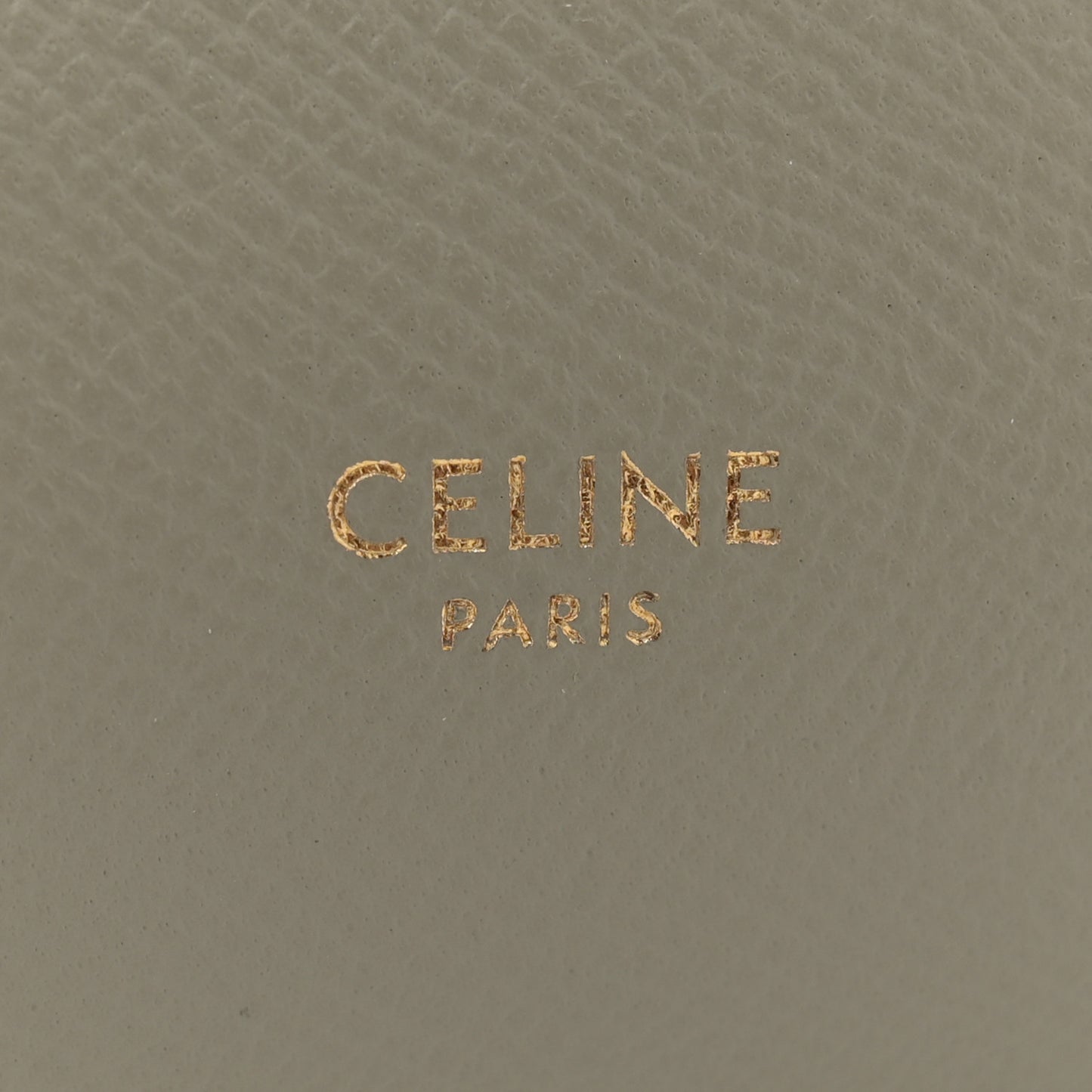 Grained Calfskin Pico Belt Bag Green Clay