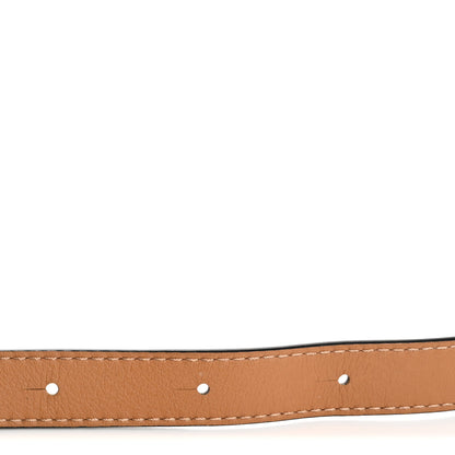 Loewe Calfskin Braided Loop Strap Light Caramel Sand Multicolor 4 of 12