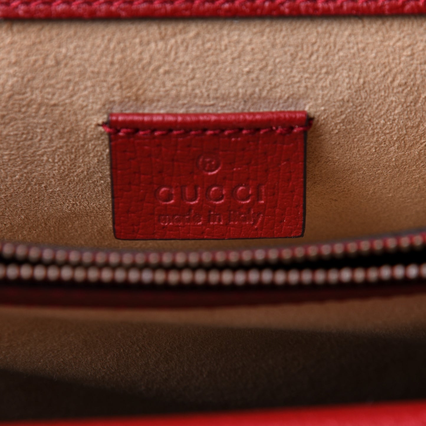 Calfskin Web Raccoon Embroidered Medium Dionysus Shoulder Bag Red