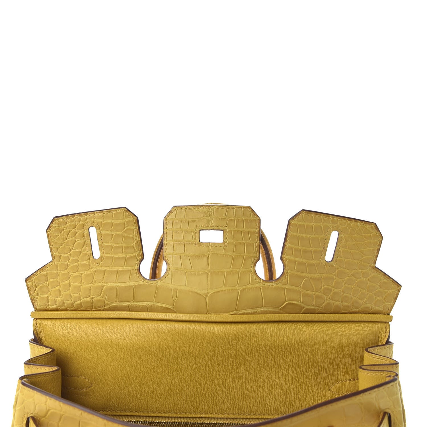 Hermes Matte Alligator Birkin 25 Jaune Ambre 17 of 33