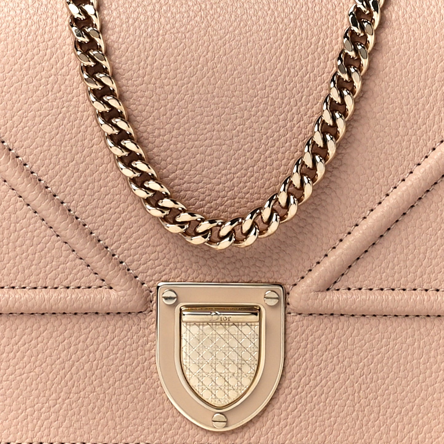 Grained Calfskin Diorama Wallet on Chain Pouch Nude