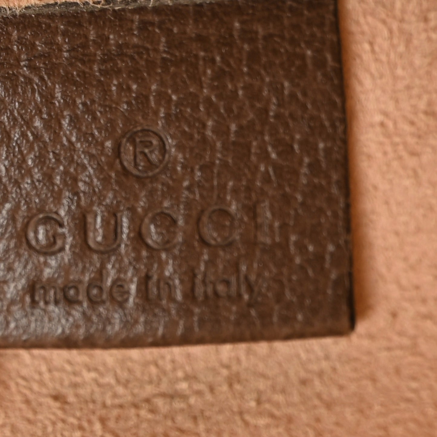 GG Supreme Monogram Web Ophidia Tote Brown