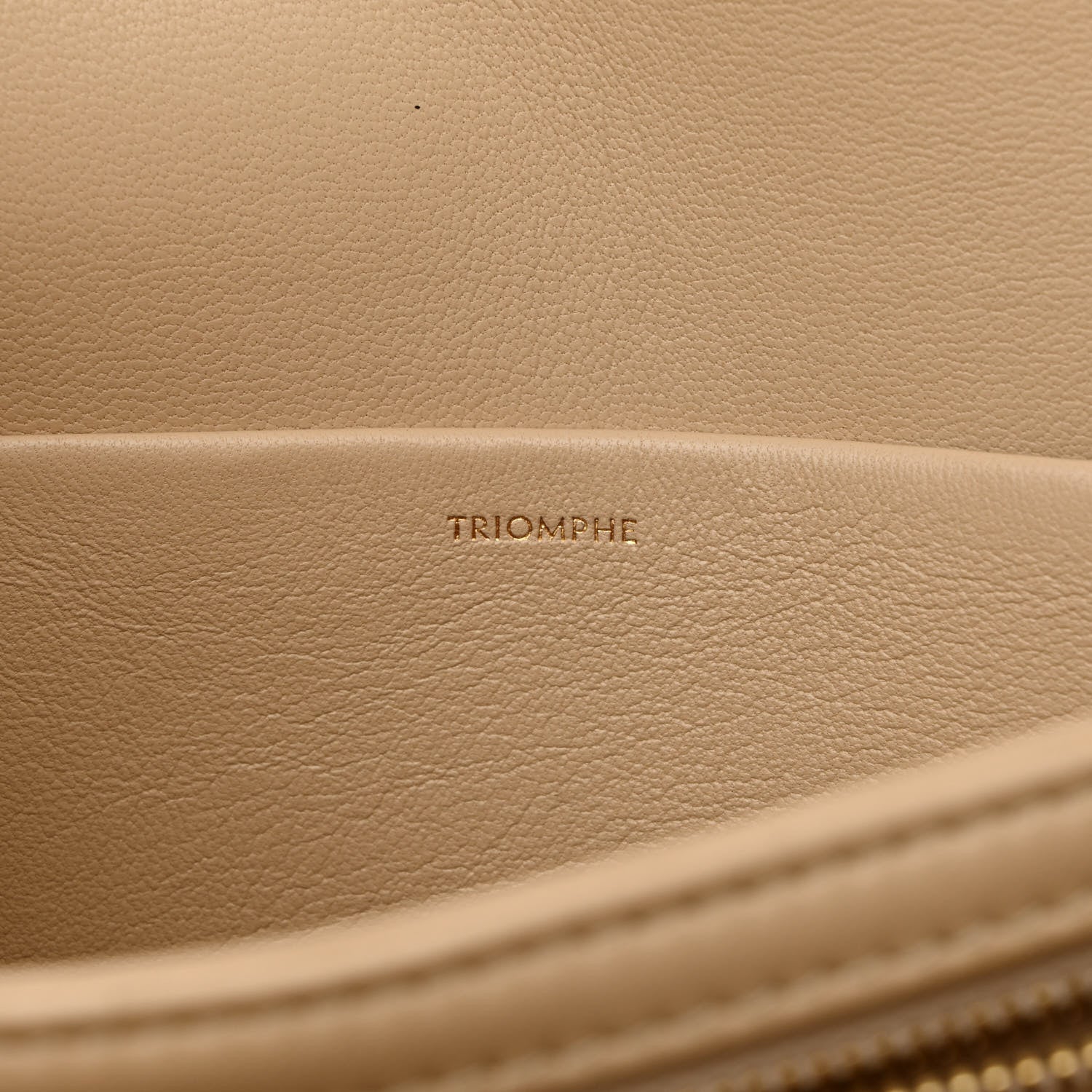 Celine Shiny Calfskin Medium Triomphe Nude 7 of 22