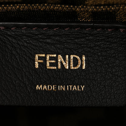 Fendi Vitello King Plexiglass Logo Embossed Mini By The Way Top Handle Boston Bag Tortora 6 of 10