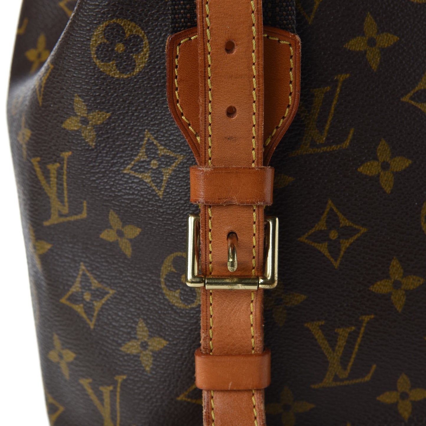 Monogram Montsouris GM Backpack