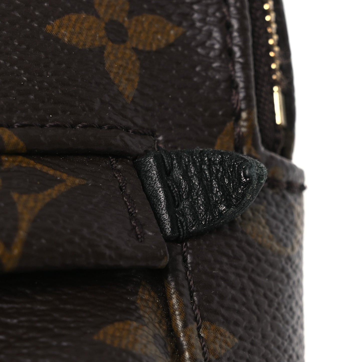 Monogram Palm Springs Backpack Mini