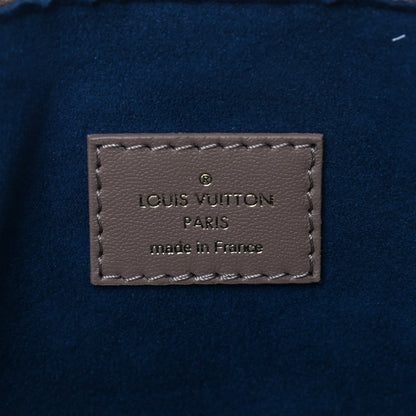 Louis Vuitton Lambskin Embossed Monogram Coussin PM Taupe 6 of 8