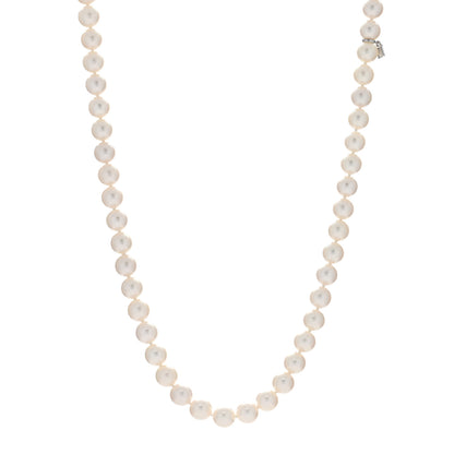Mikimoto 18K White Gold Akoya Pearl 7.5-8mm Strand Necklace 20" 1 of 4
