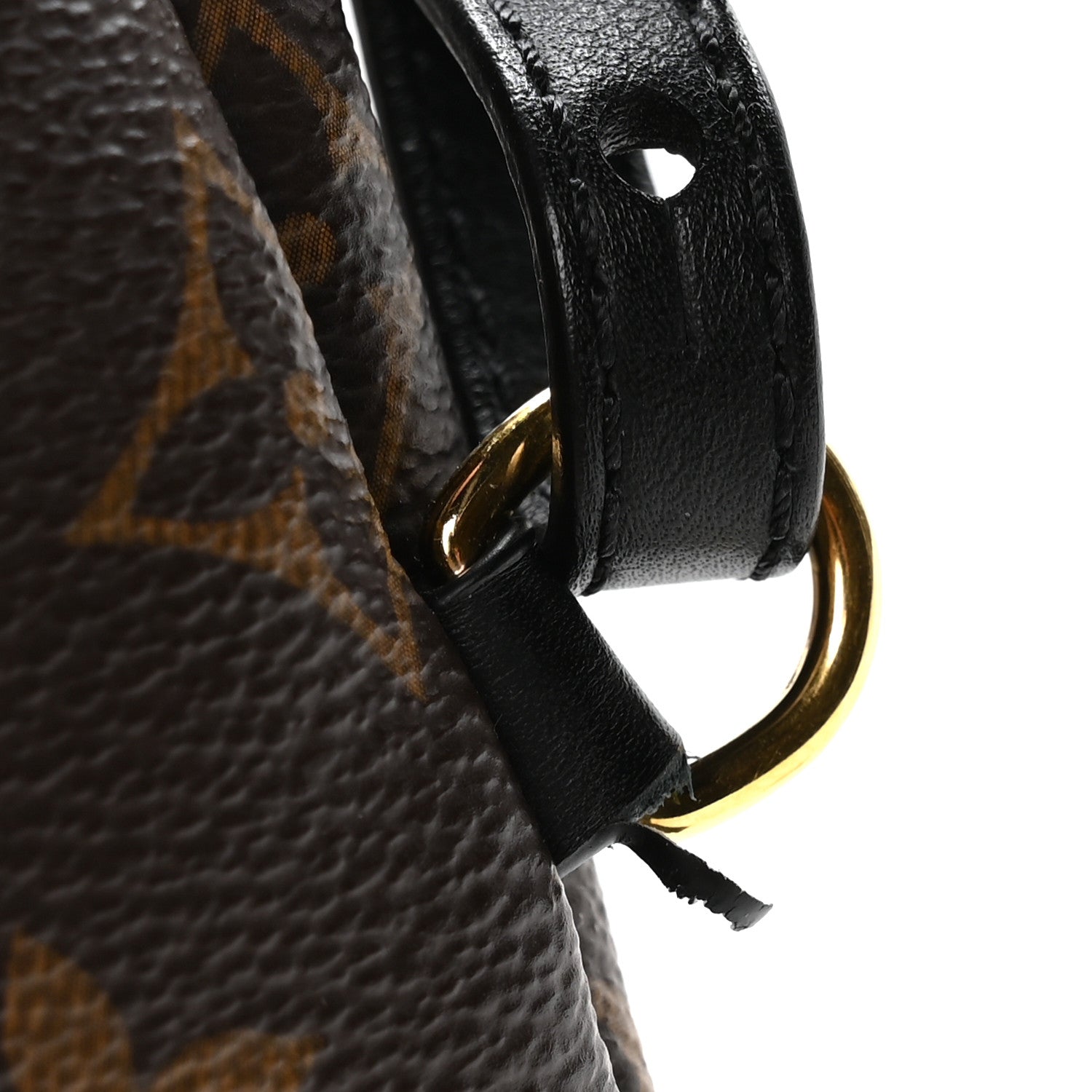 Louis Vuitton Monogram Palm Springs Backpack Mini 1835396