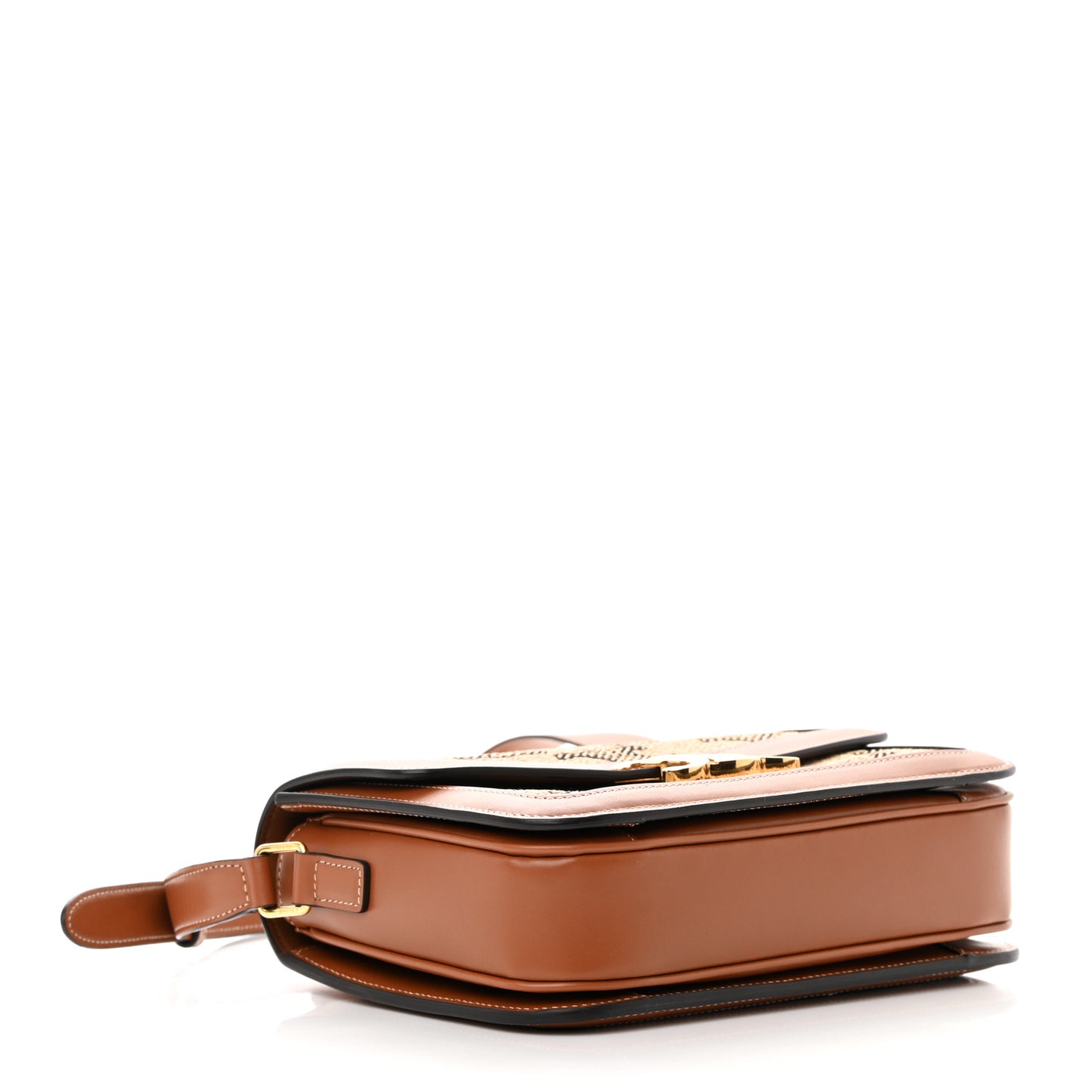 Canvas Calfskin Triomphe Embroidered Medium Triomphe Bag Tan