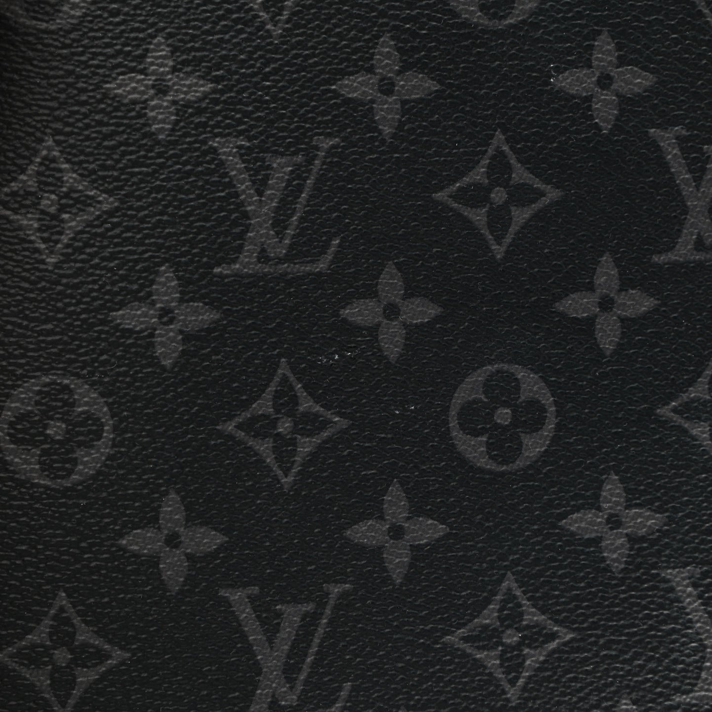 Monogram Eclipse Fragment Cabas Light Pochette