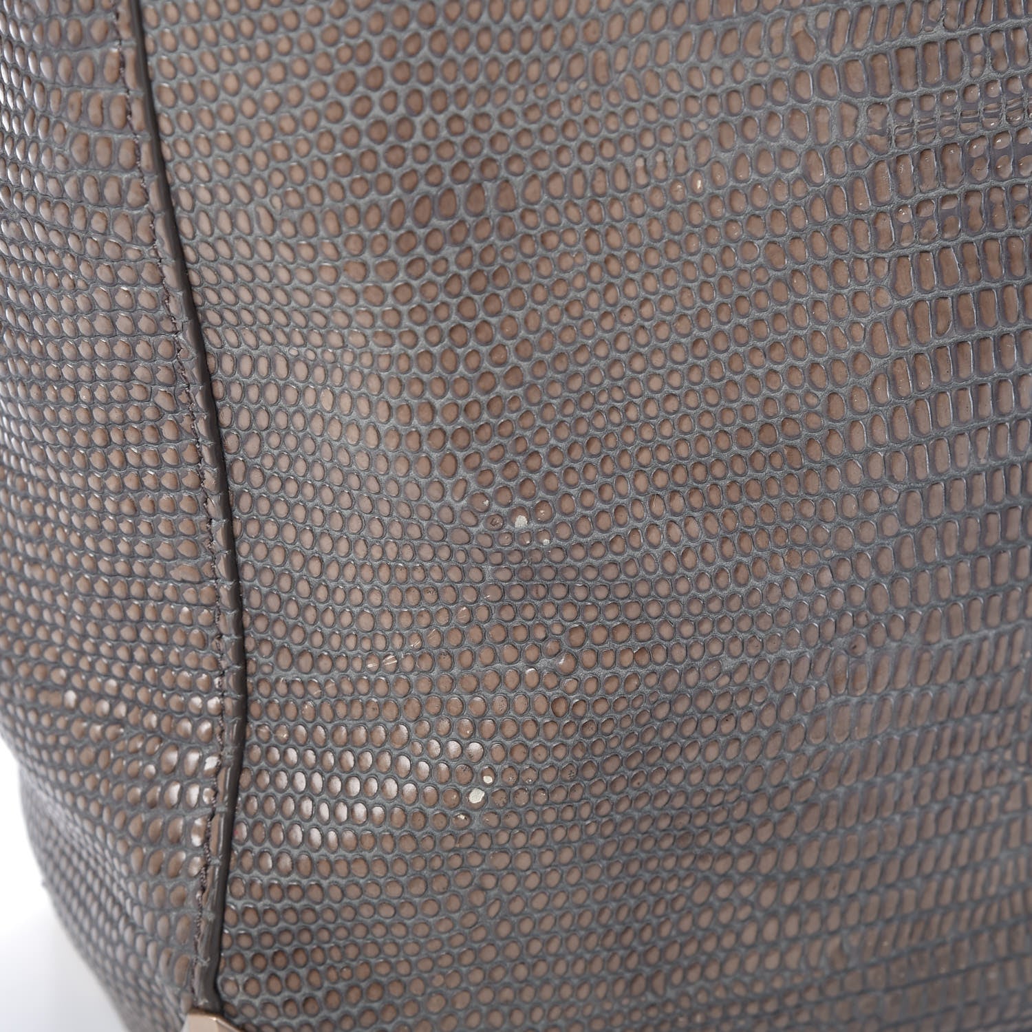 Alexander Wang Lizard Embossed Prisma Skeletal Tote Grey 11 of 11