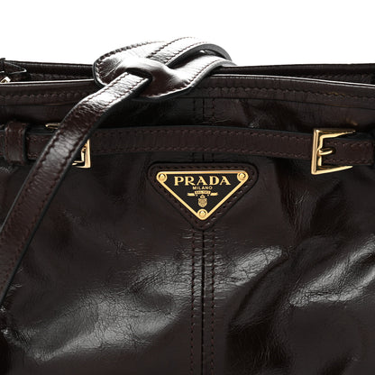 Prada Soft Lux Calfskin Mini Bonnie Dark Brown 7 of 9