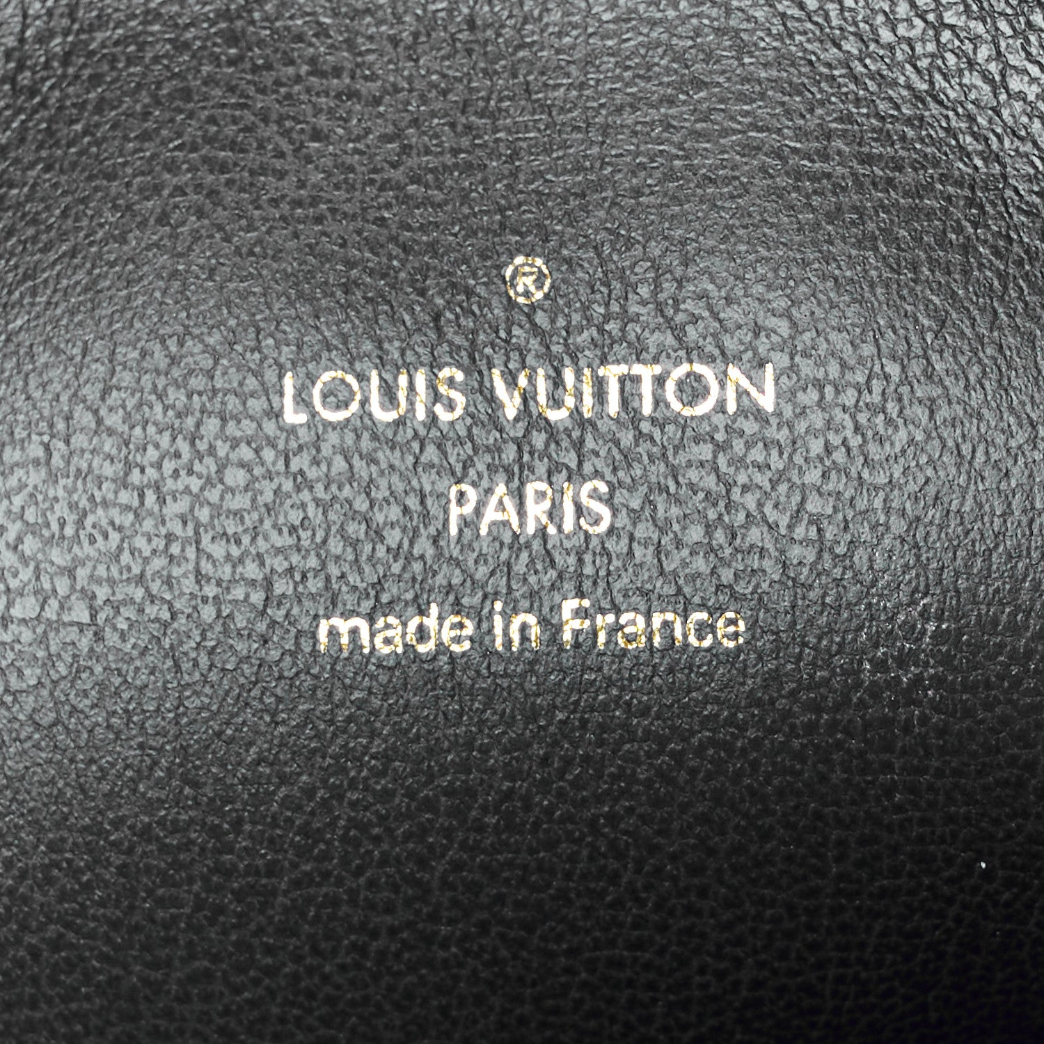 Louis Vuitton Lambskin Embossed Monogram Coussin MM Taupe 8 of 14