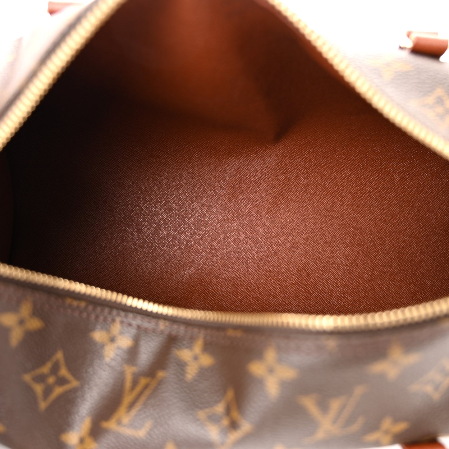 Monogram Papillon 30 with Companion