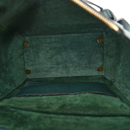 Celine Grained Calfskin Mini Belt Bag Amazone 5 of 10