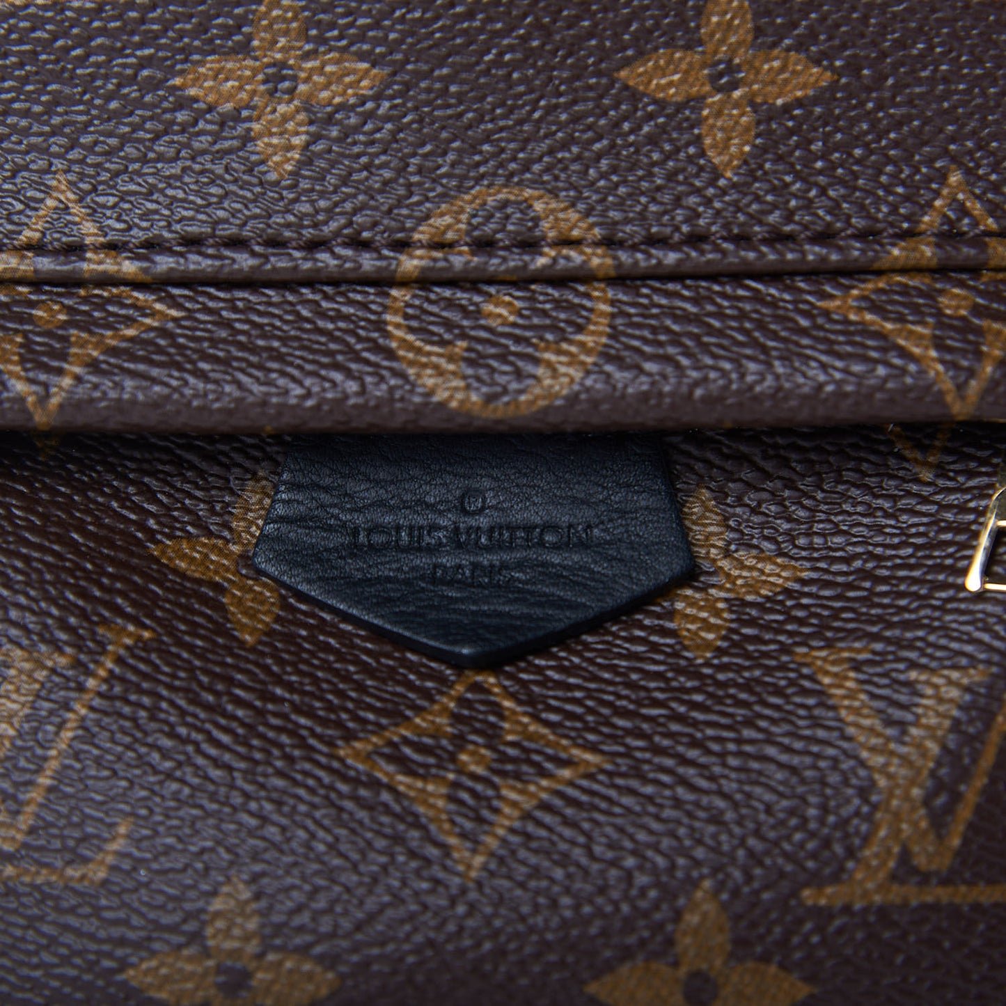 Monogram Palm Springs Backpack Mini