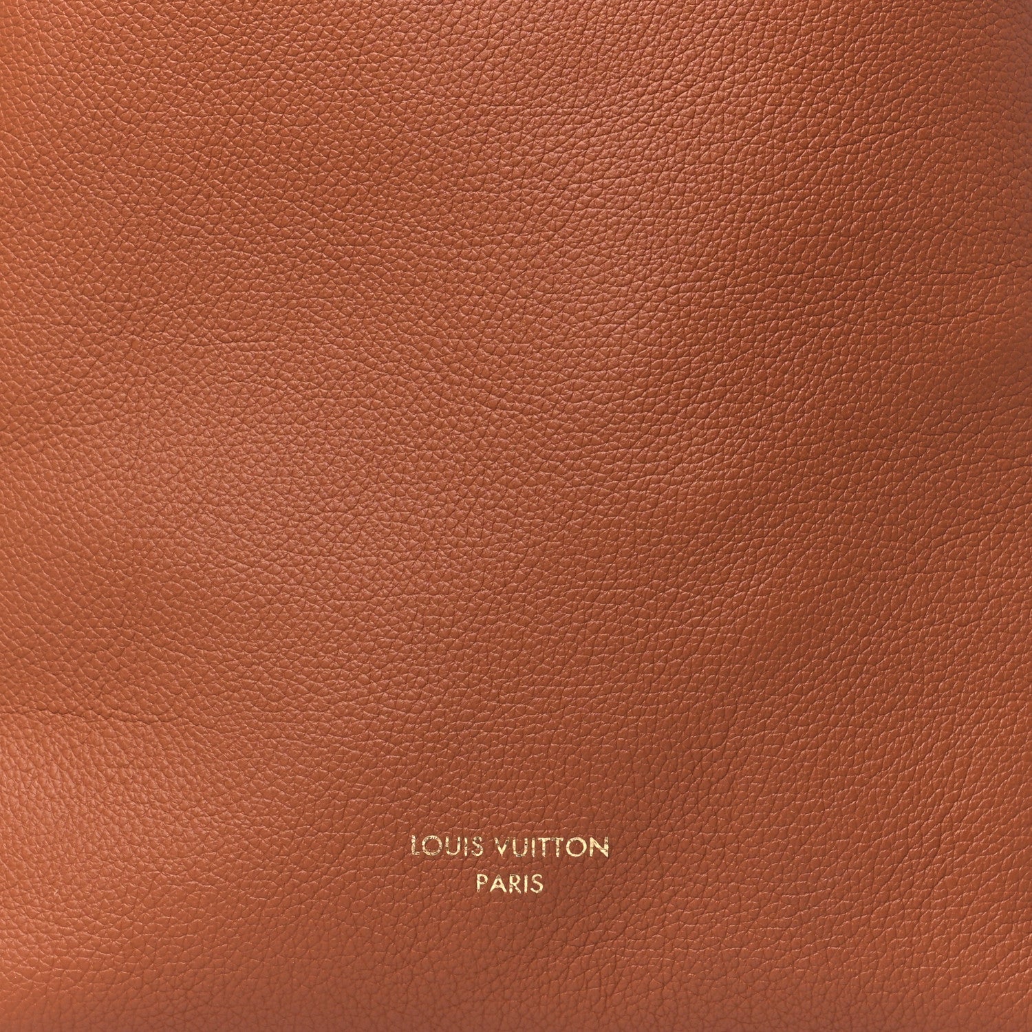Louis Vuitton Grained Calfskin Low Key Hobo PM Cognac 7 of 10