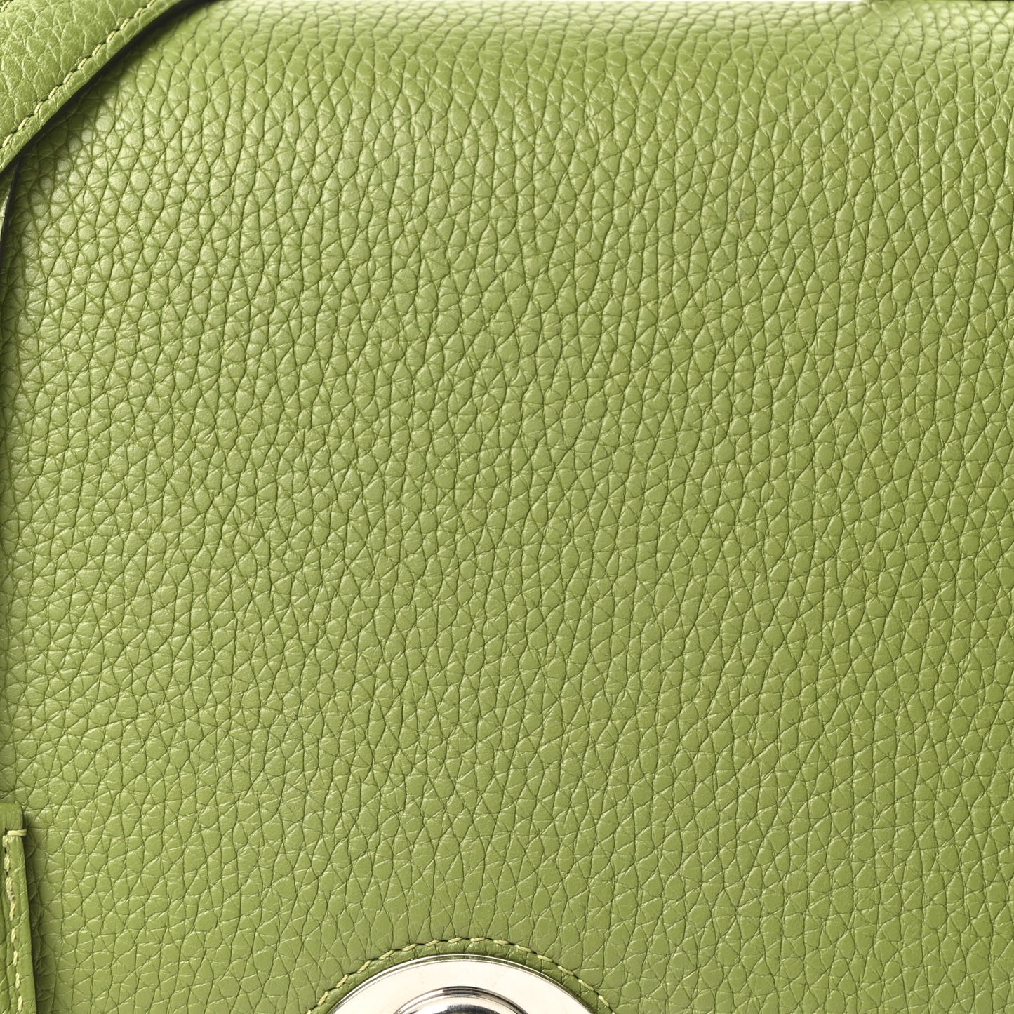 Taurillon Blush Rejane PM Green