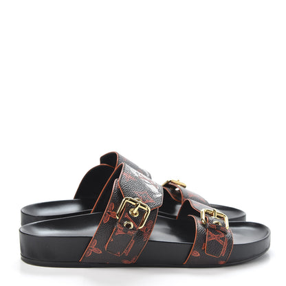 Louis Vuitton Catogram Bom Dia Flat Mule 41 Black Marron 4 of 10