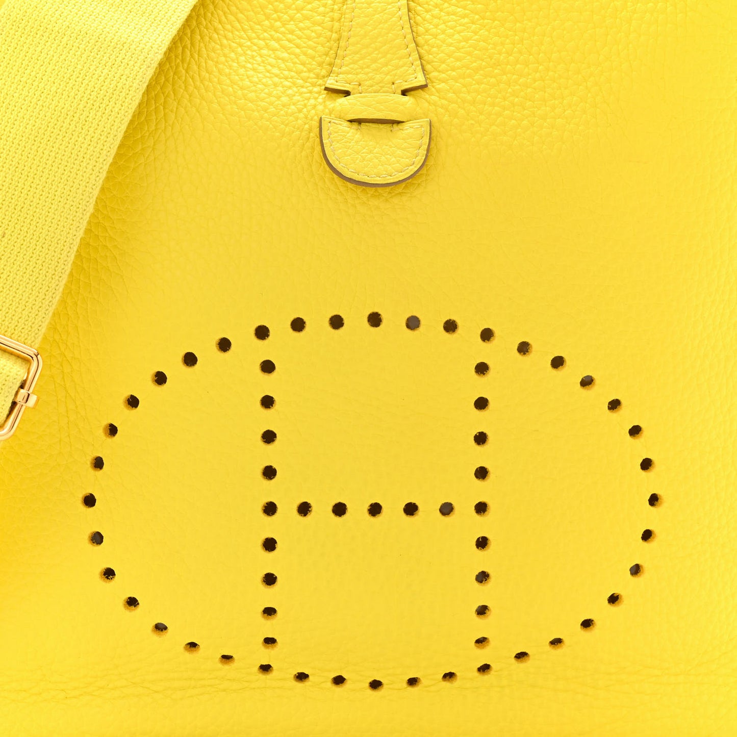 Taurillon Clemence Evelyne III PM Lime