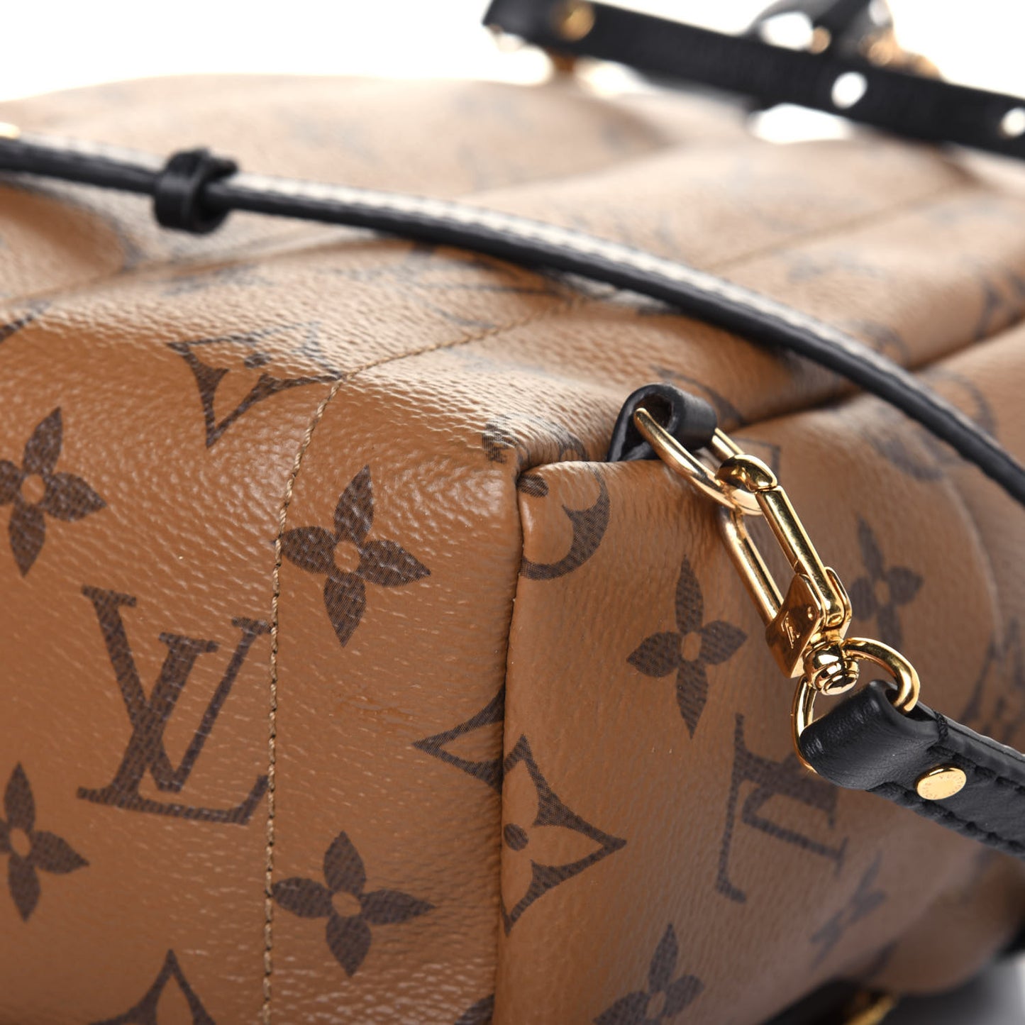 Reverse Monogram Palm Springs Backpack Mini