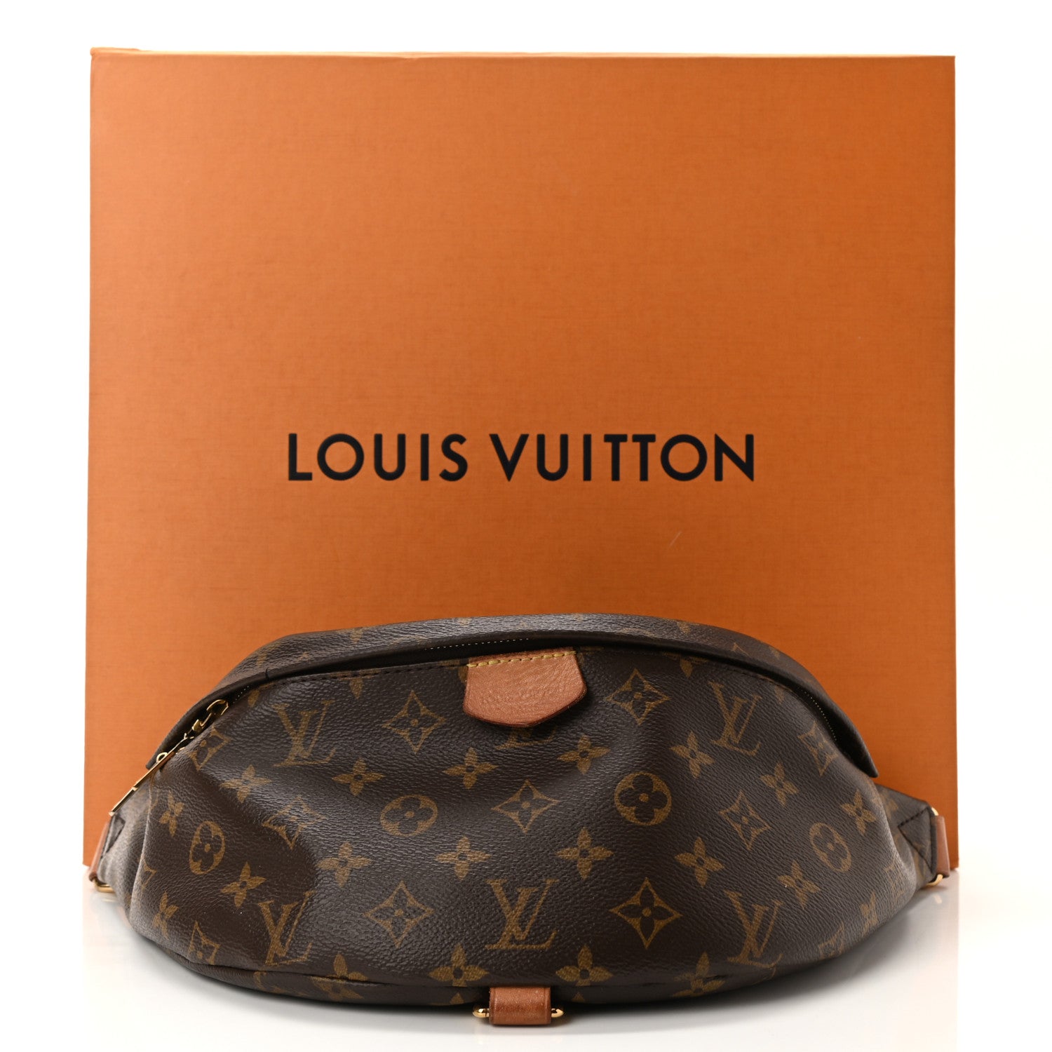 Louis Vuitton Monogram Bumbag 14 of 14