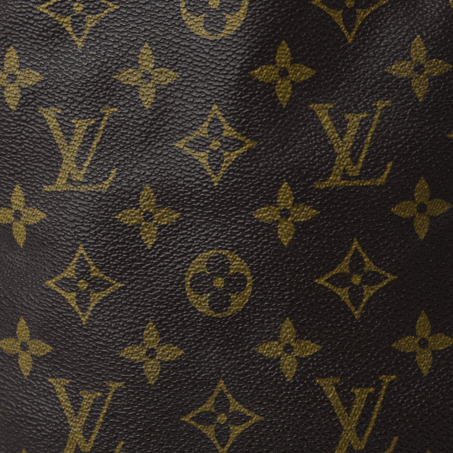 Monogram Petit Noe