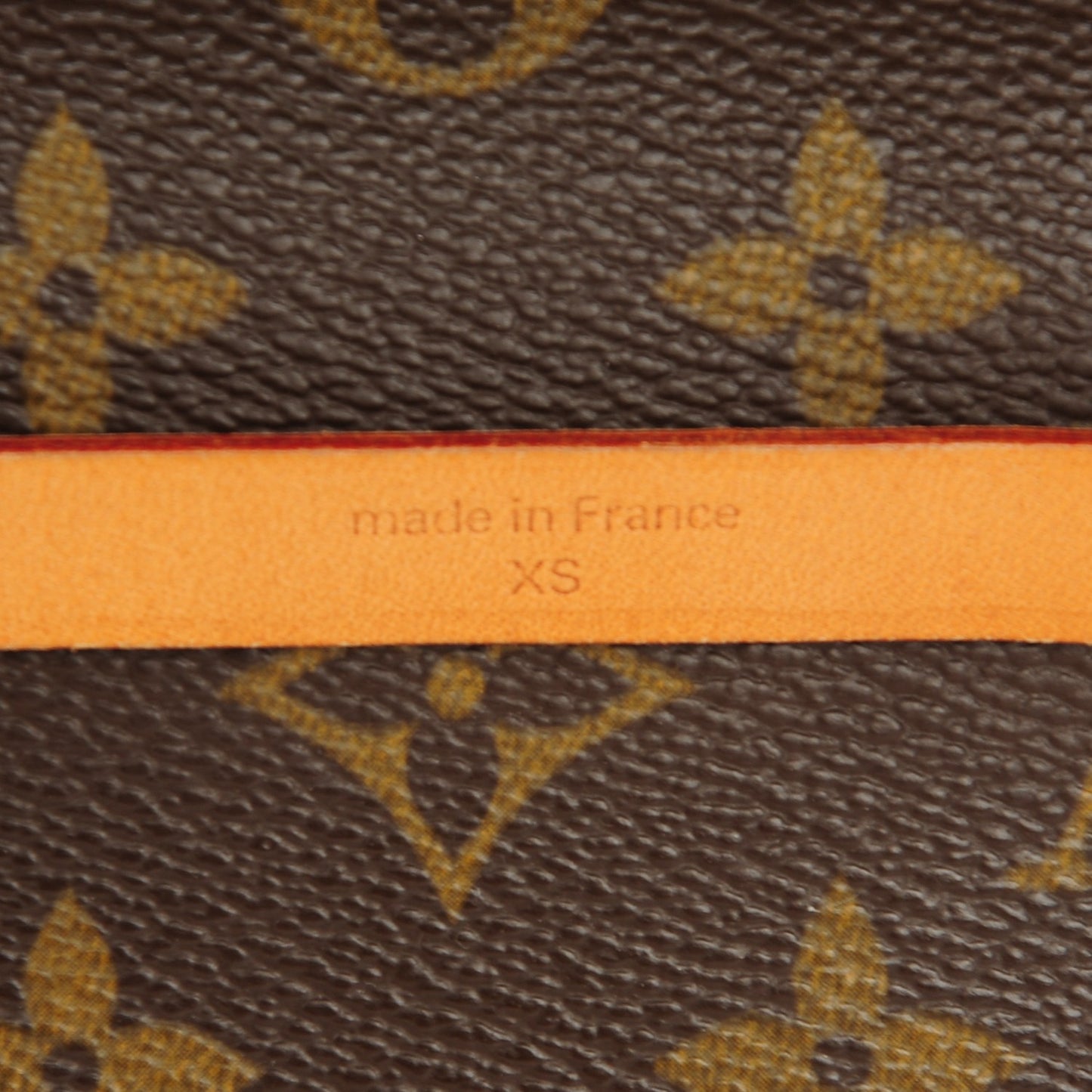 Monogram Pochette Florentine XS