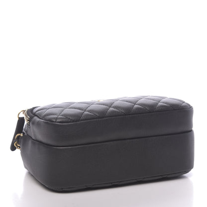 Chanel Calfskin Quilted Day Trips Camera Case Black 4 of 10