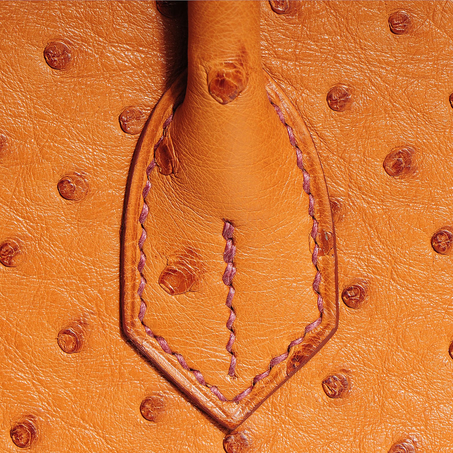 Ostrich Birkin 30 Cognac