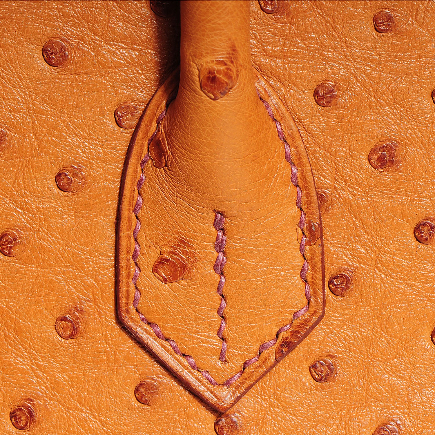 Hermes Ostrich Birkin 30 Cognac 18 of 29