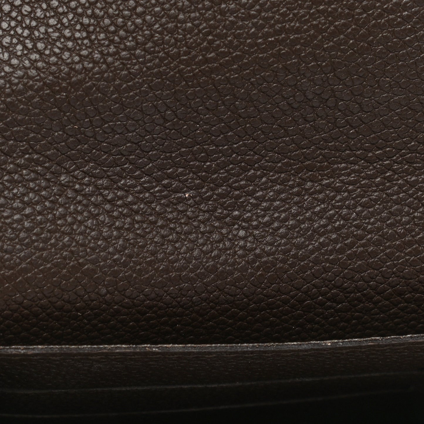 Empreinte Curieuse Wallet Earth