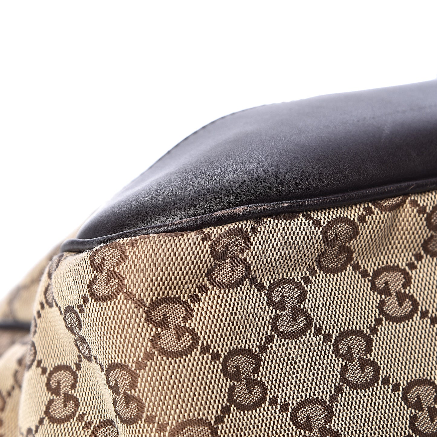 Monogram Web Dog Carrier Dark Brown