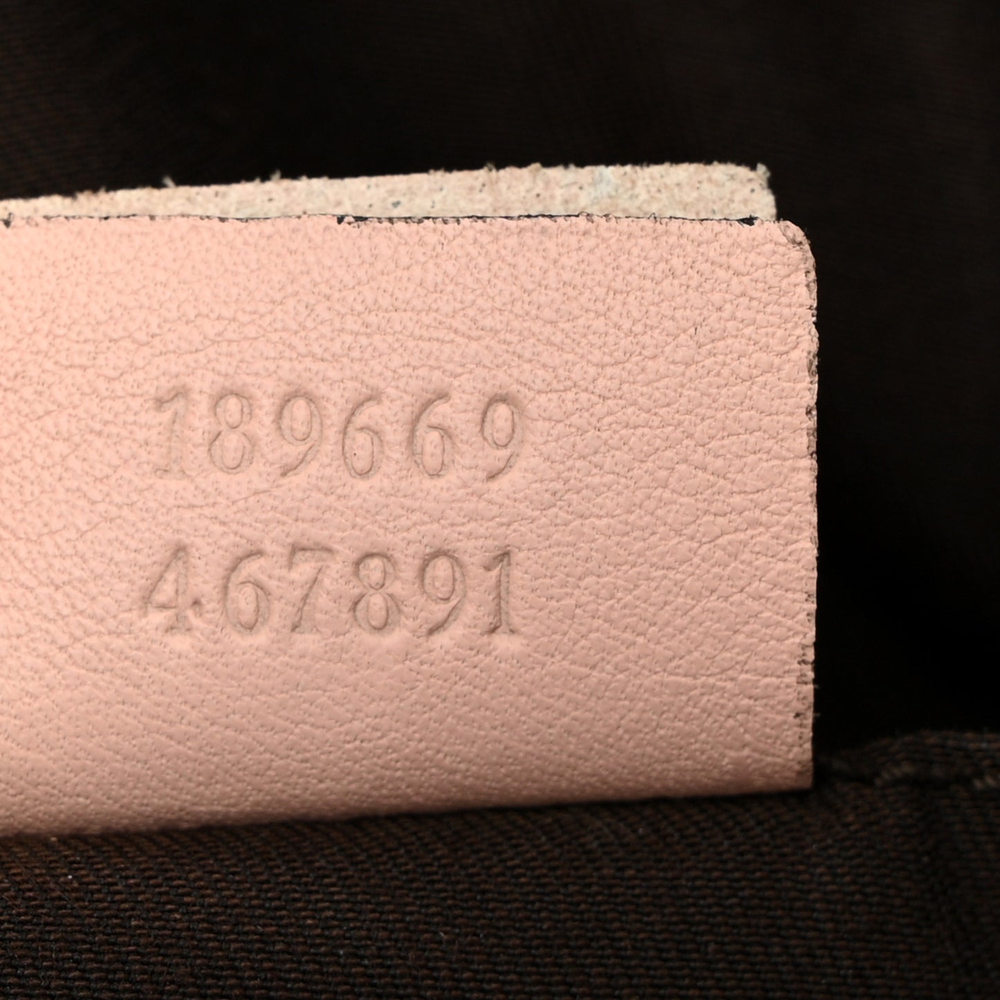 GG Monogram Medium Web Handle Vertical Tote Pink Blue