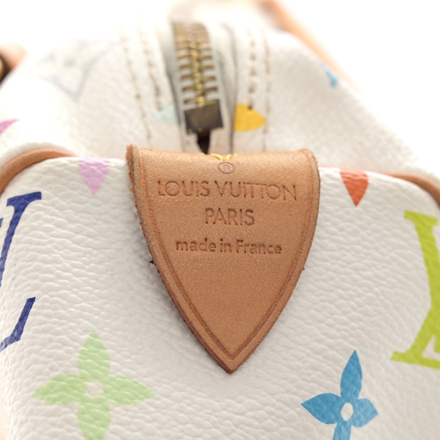 Monogram Multicolor Speedy 30 White