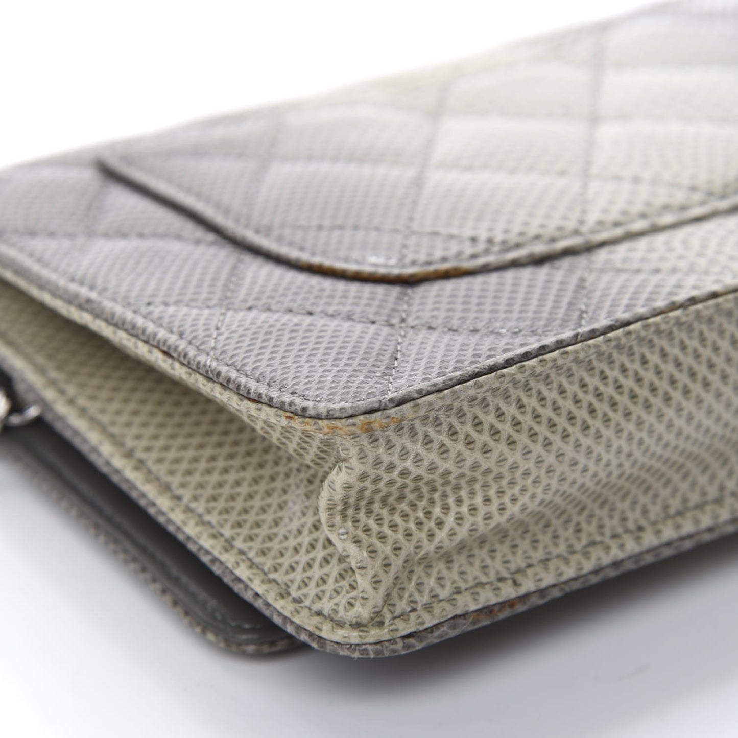 Lizard Ombre Wallet on Chain WOC Grey
