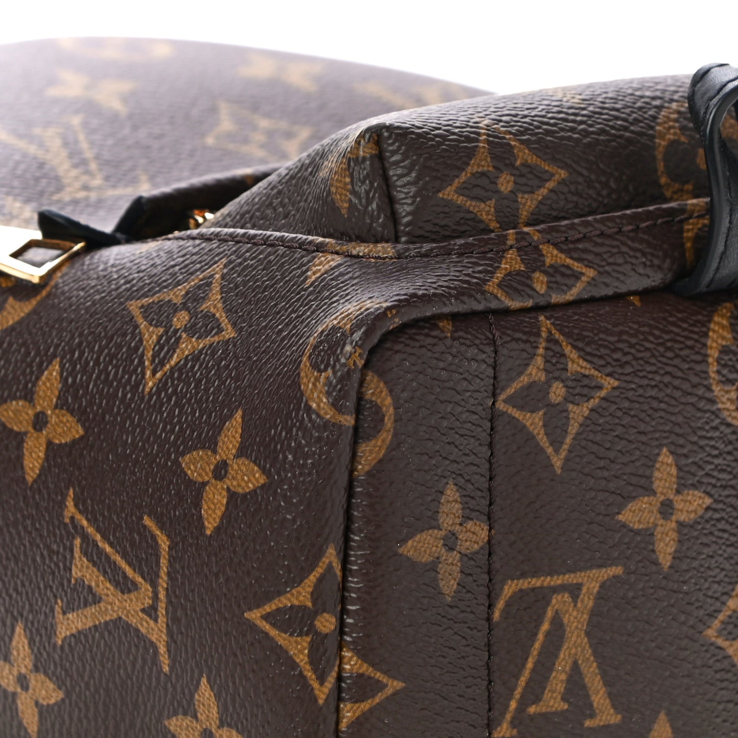 Monogram Palm Springs Backpack Mini