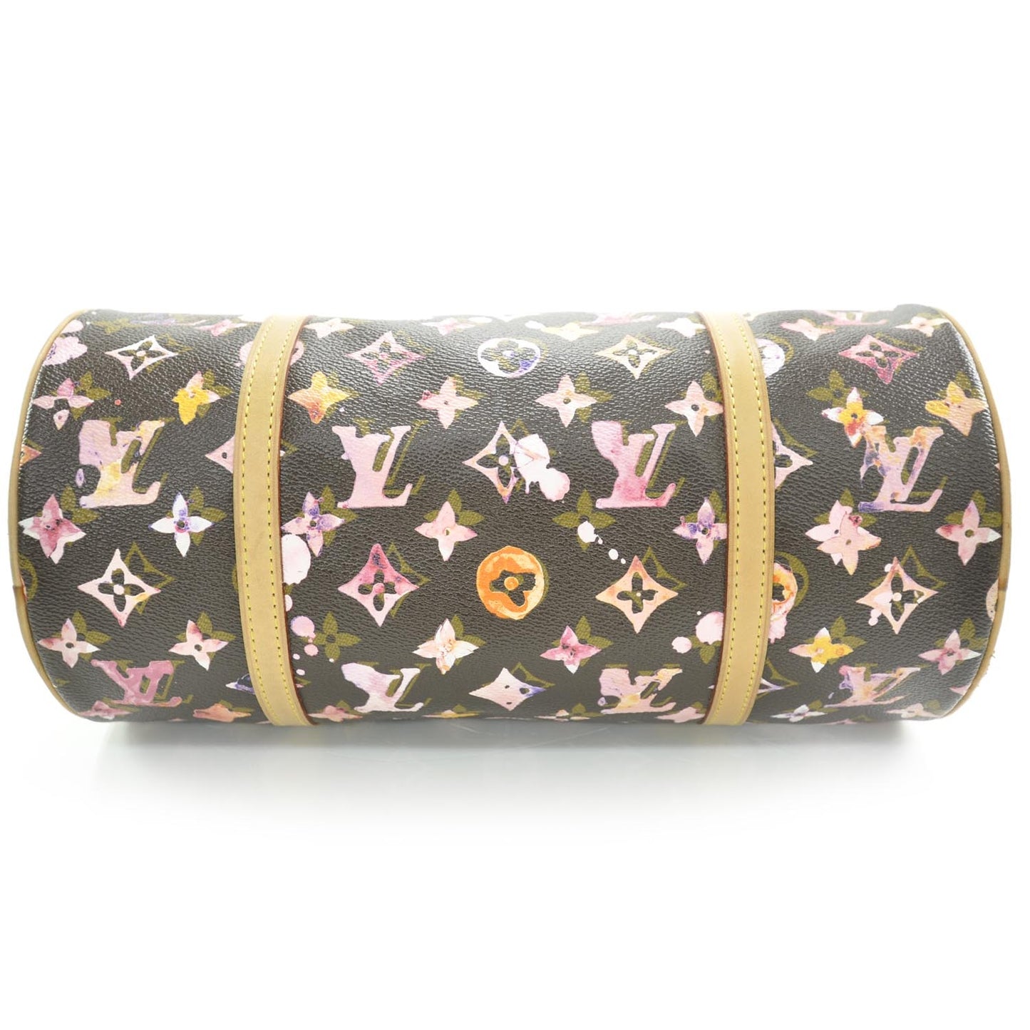 Watercolor Aquarelle Papillon