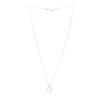 Tiffany Sterling Silver Elsa Peretti Letter N Pendant Necklace 3 of 7