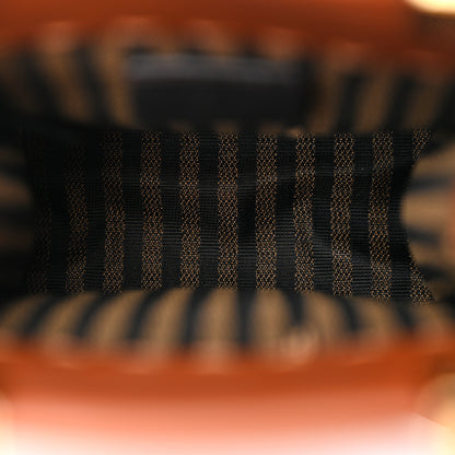 Fendi Vitello King Plexiglass Logo Embossed Mini Fendi Sunshine Shopper Tote Cuoio 5 of 11