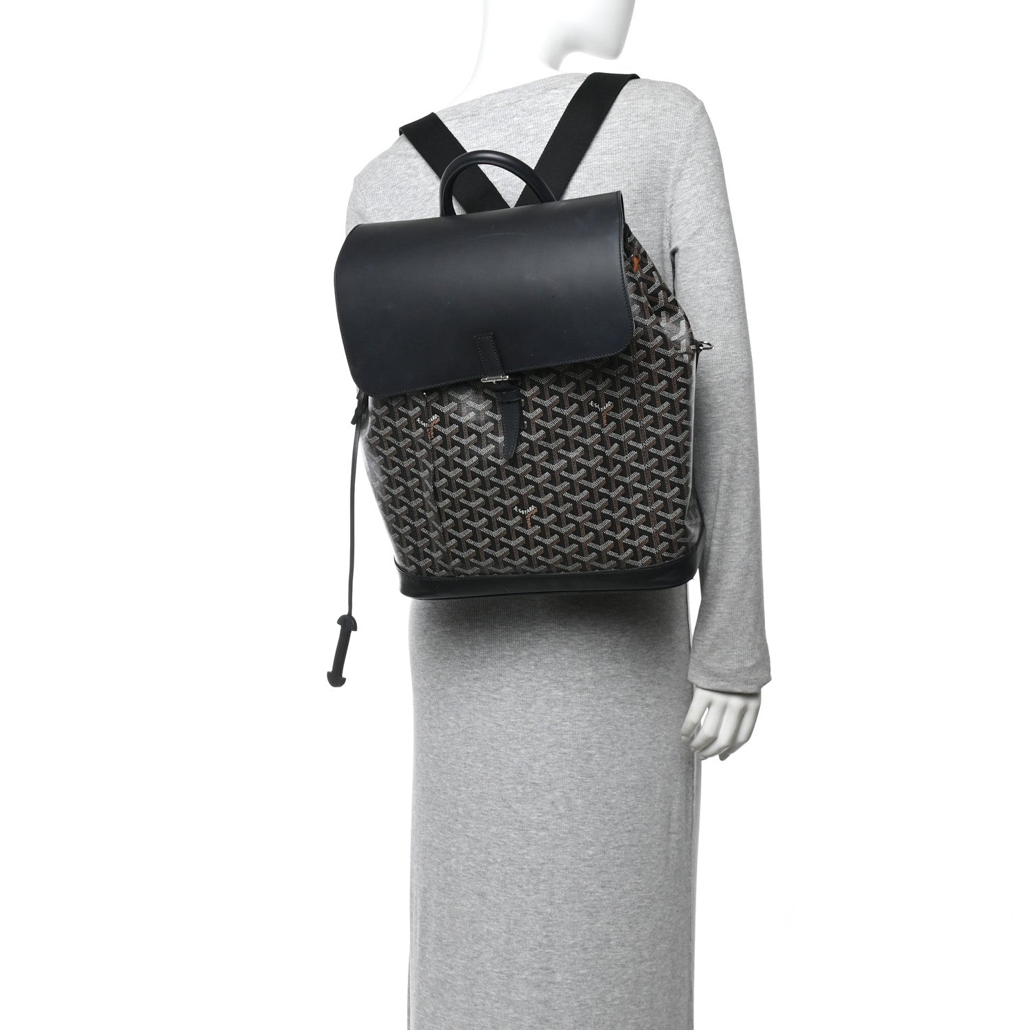 Goyard Goyardine Calfskin Alpin MM Backpack Black 2 of 15