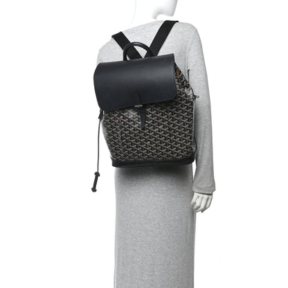 Goyard Goyardine Calfskin Alpin MM Backpack Black 2 of 15