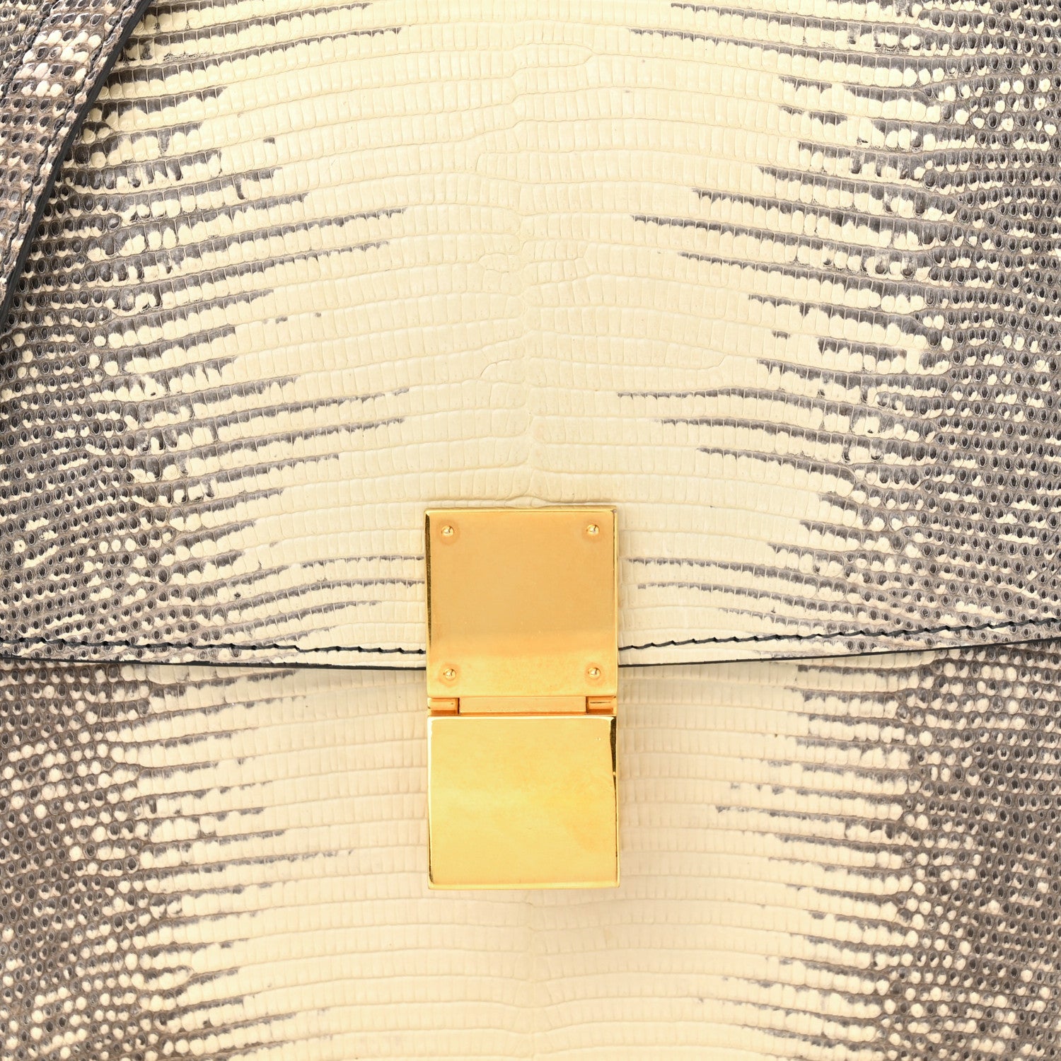 Celine Lizard Medium Classic Box Flap Bag Natural 7 of 12