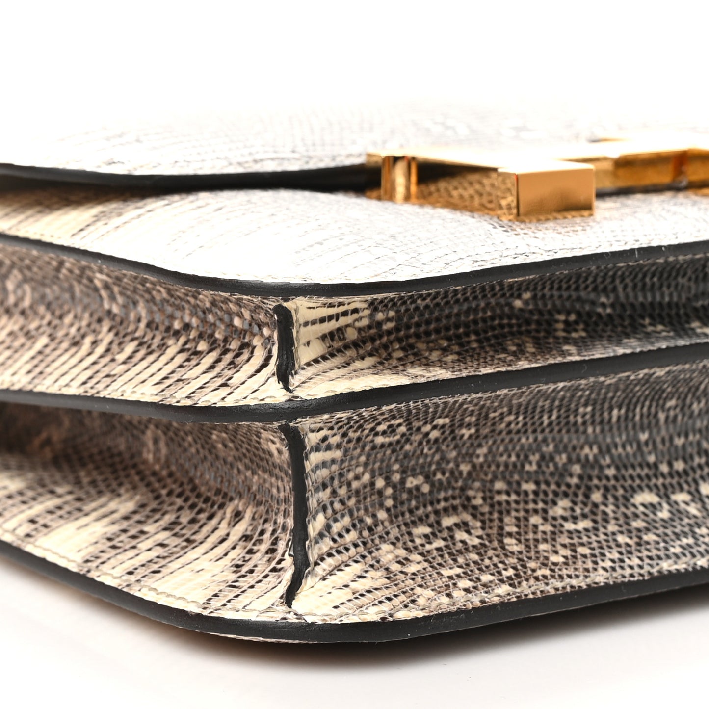 Lizard Constance 18 Ombre